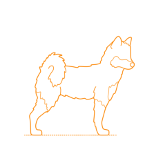 Animals Dogs Alaskan Klee Kai Stencil Svg Design File, Free Vectors File